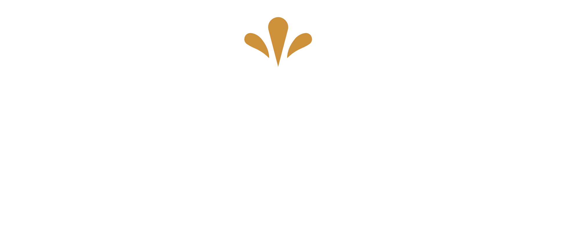 Beukes logo